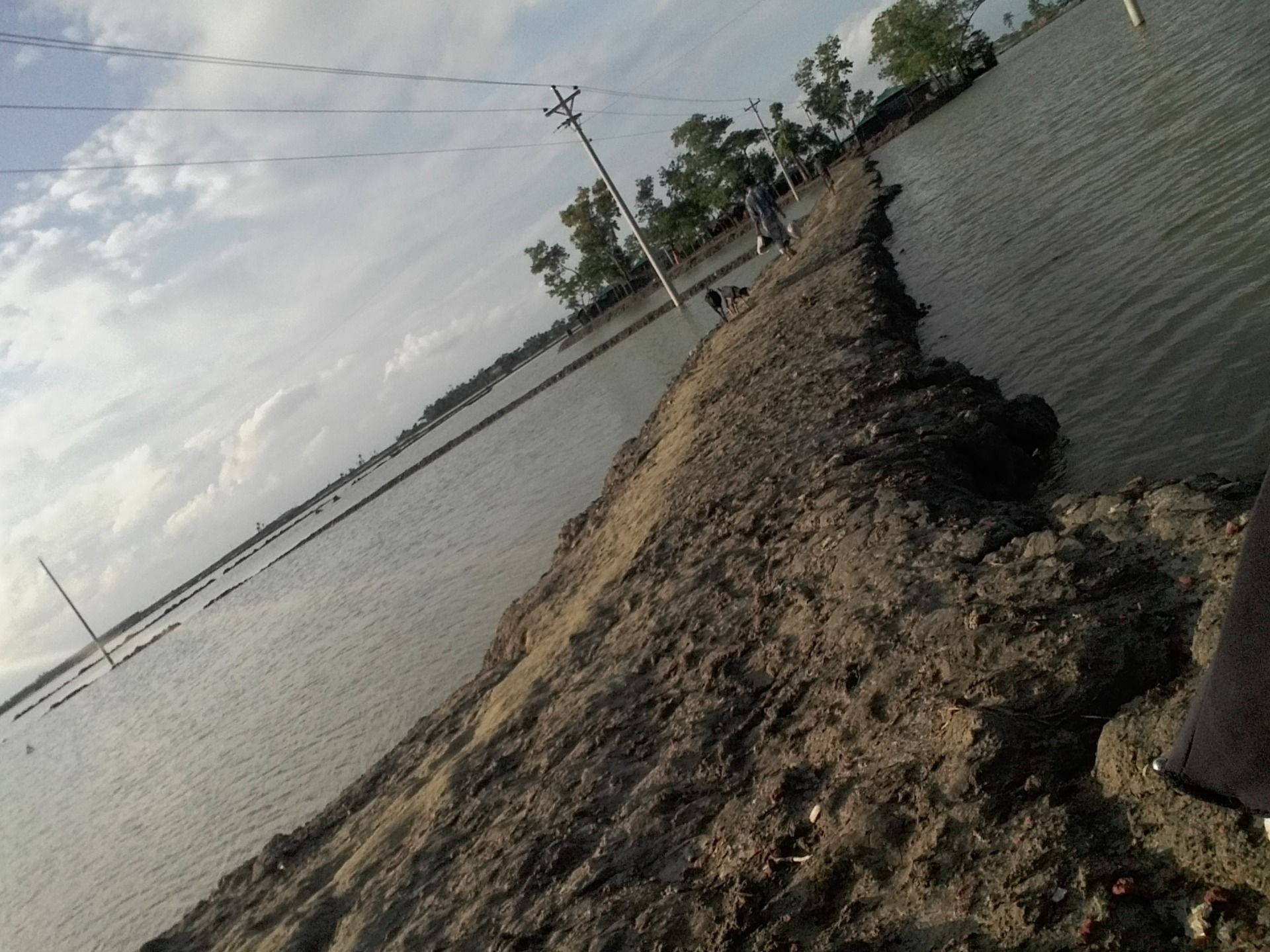 This is the path to go..