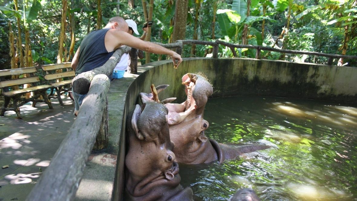 Čiangmajaus zoologijos sodas