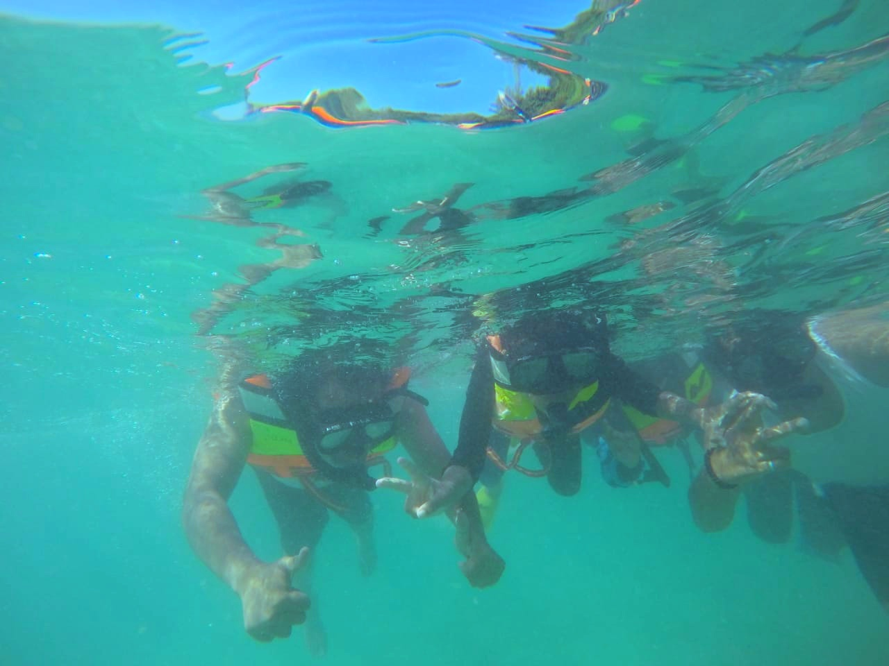 Snorkeling or Diving in Rubiah Marine Park