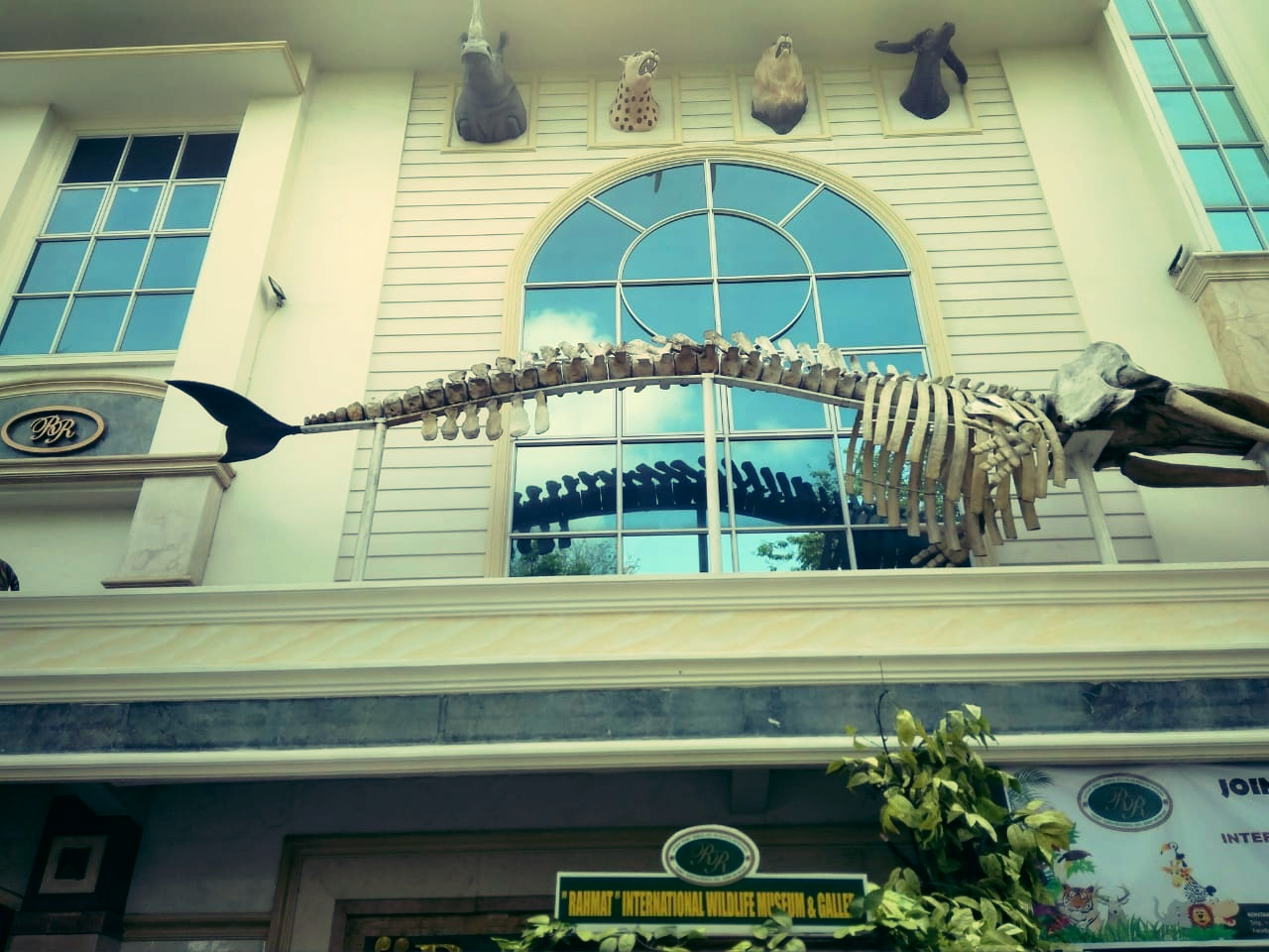 Travel Attraction Rahmat International Wildlife Museum and Gallery, Medan. Indonesia