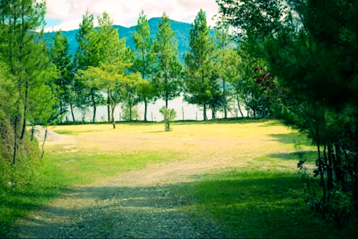 Image Photograph of natural scenery around freshwater lakes.