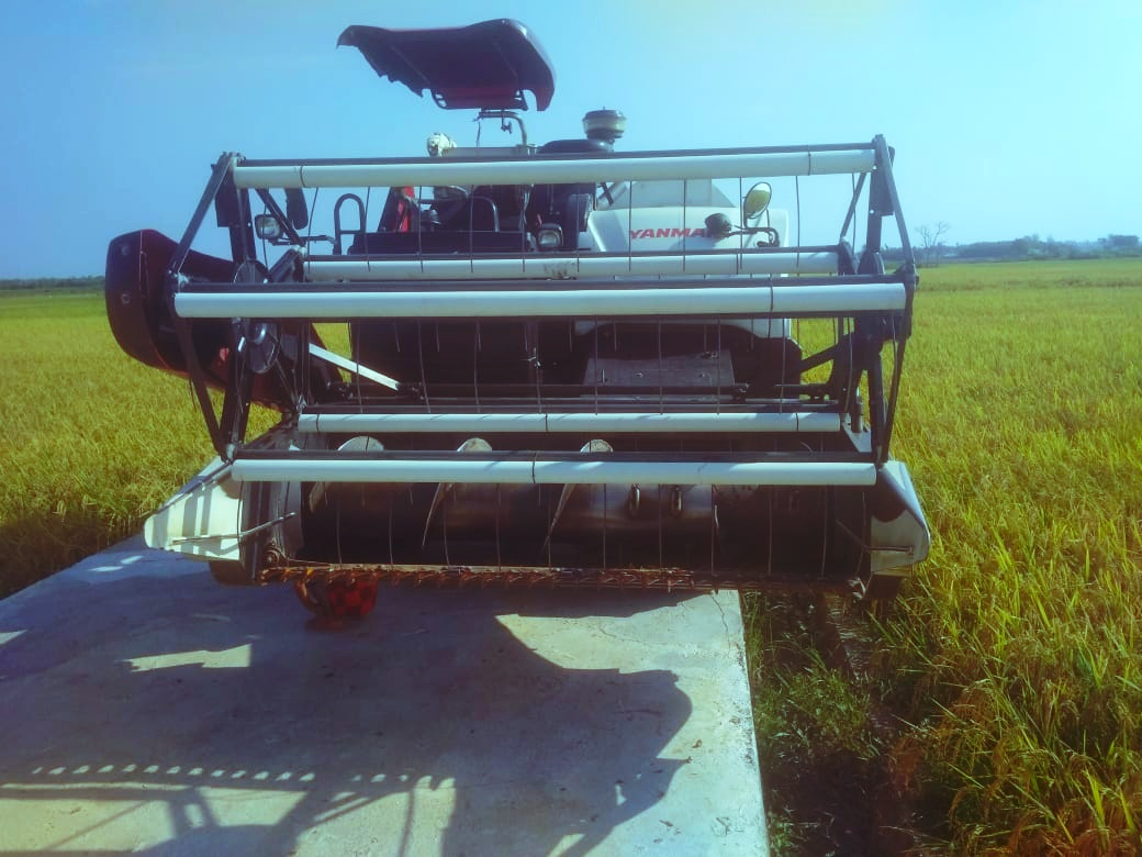 Pictures of rice harvesting machine cars that I took from a smartphone camera a few days ago
