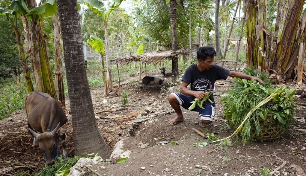 Easy ride  and hang out with the local at Lembongan Island , Bali