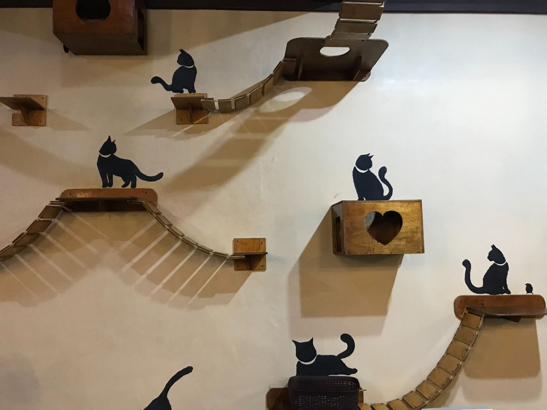 PurrFECT CAFE - Coffee therapy with the cat. 