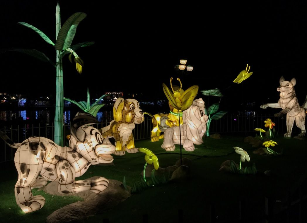 A VISIT AT FULL OF LIGHT TOWN IN HOI AN , VIETNAM