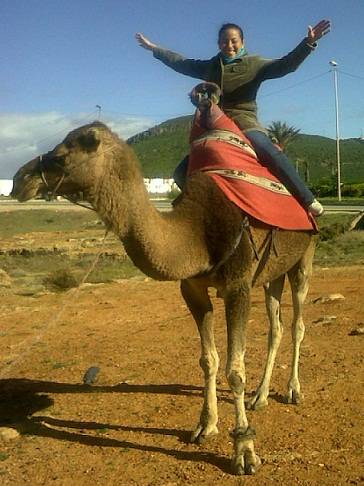 Susana the camel. Foto Propia