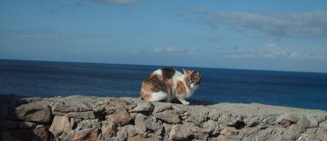 Breve Paseo a Tánger / Brief ride in Tanger
