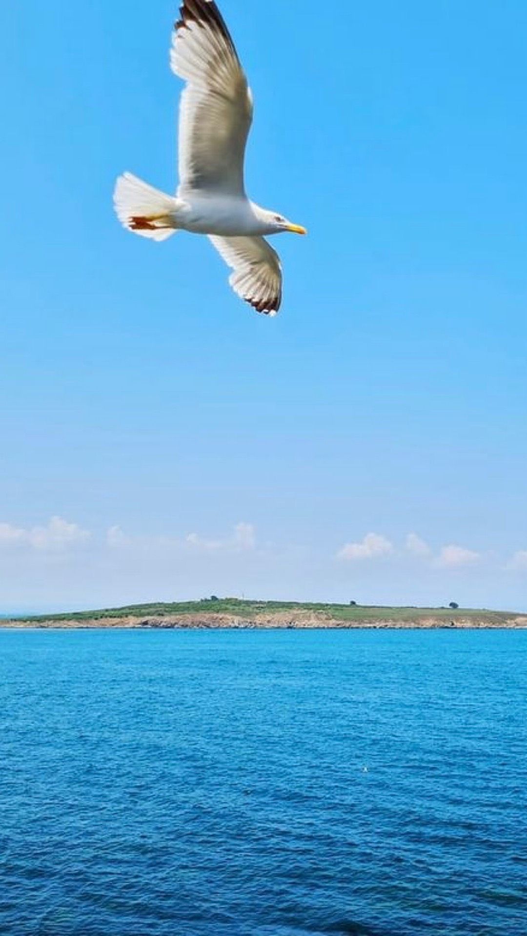 Sozopol Bulgaria