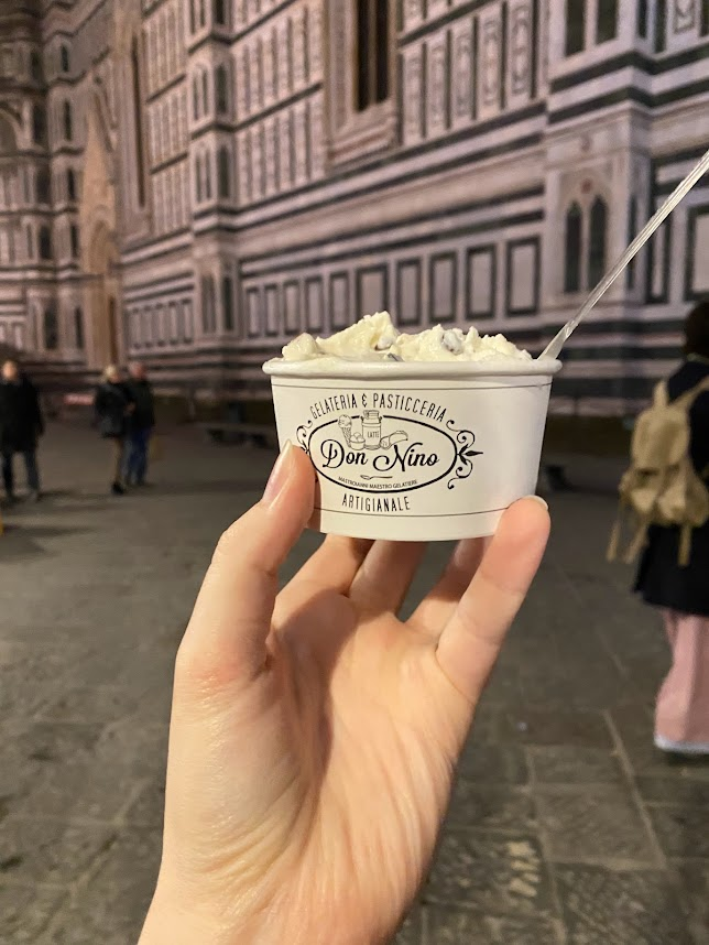 The Duomo and some over-priced gelato
