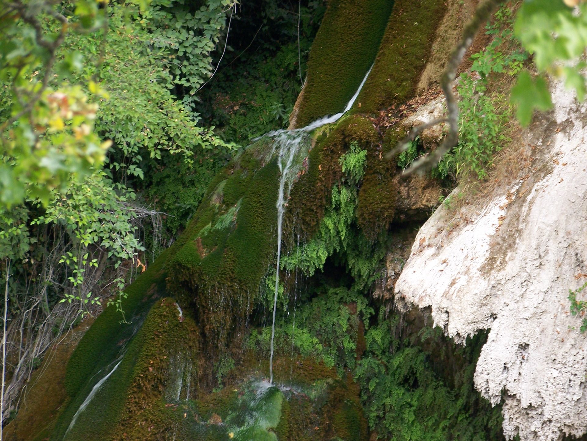 Saut du Loup Waterfall / Wasserfall von Saut du Loup
