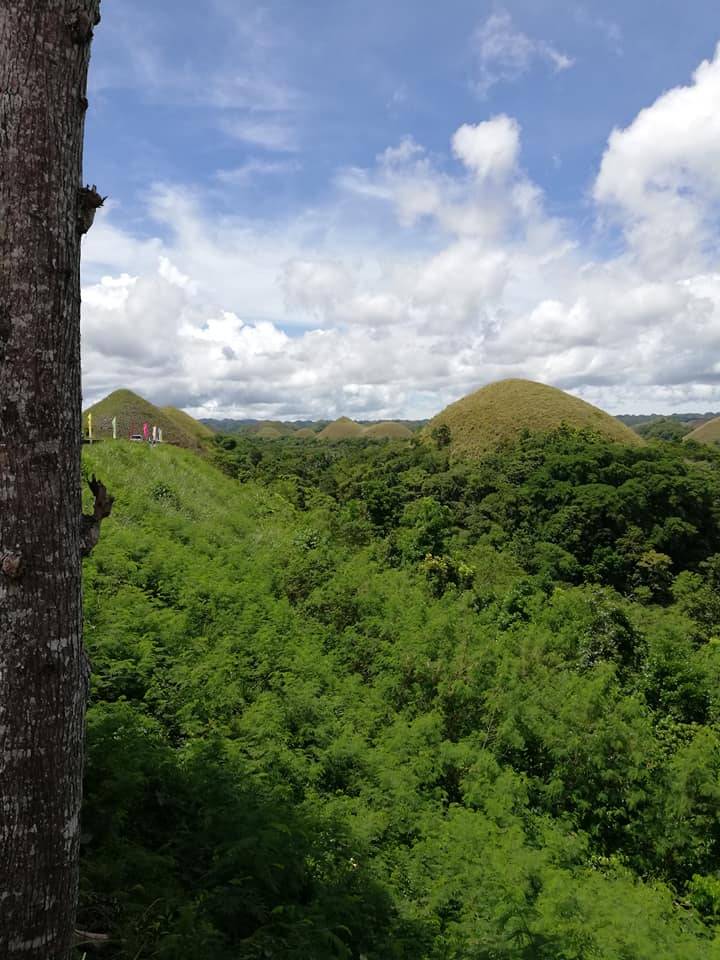 A view of the iconic Chocolate Hills before going up the stairs!