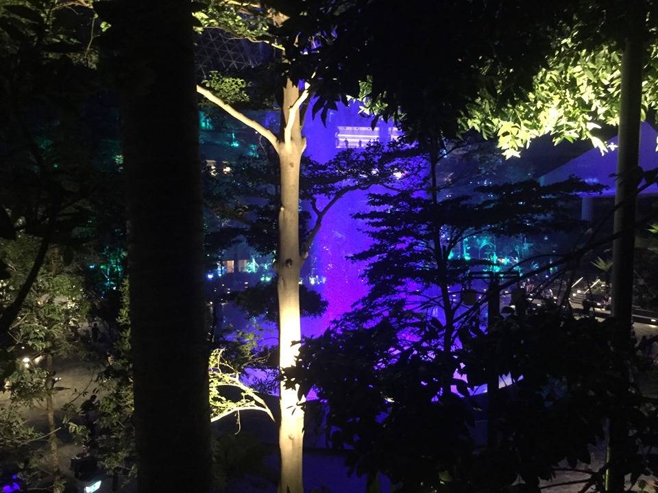 Man-made forest during the night