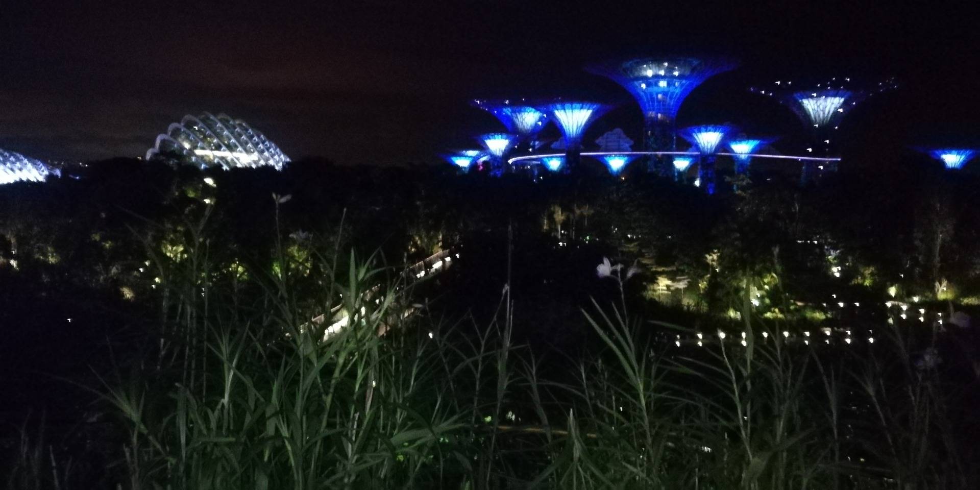 Beautiful lights of Gardens By The Bay 