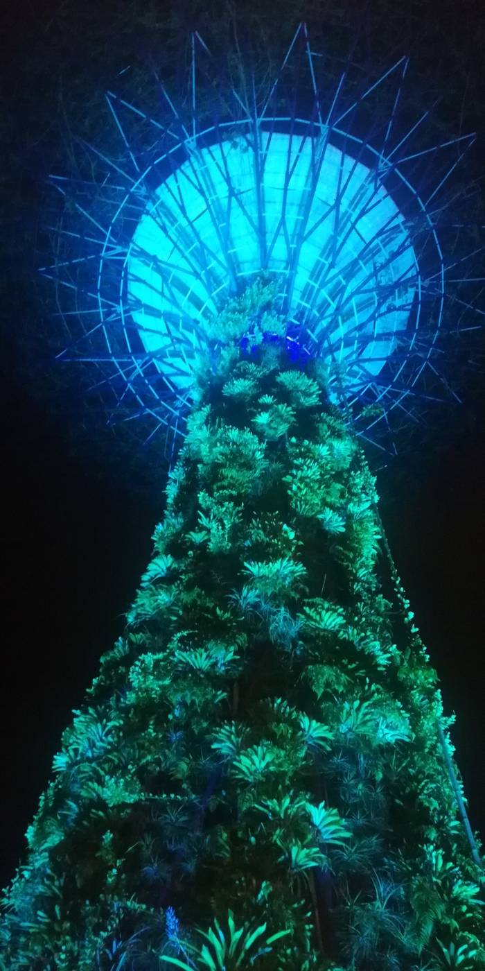 I’m lovin’ this man-made glowing tree!
