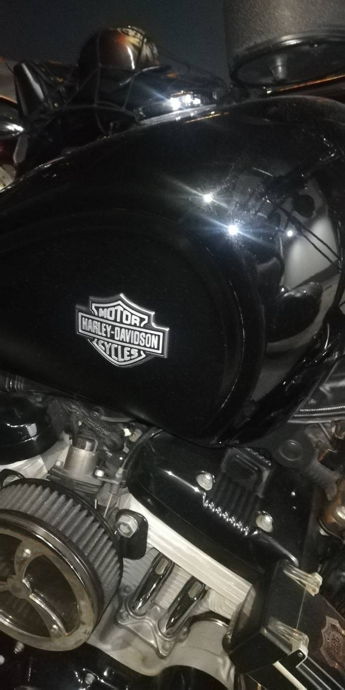 A Harley-Davidson motorbike? You’ve got to be kidding me?