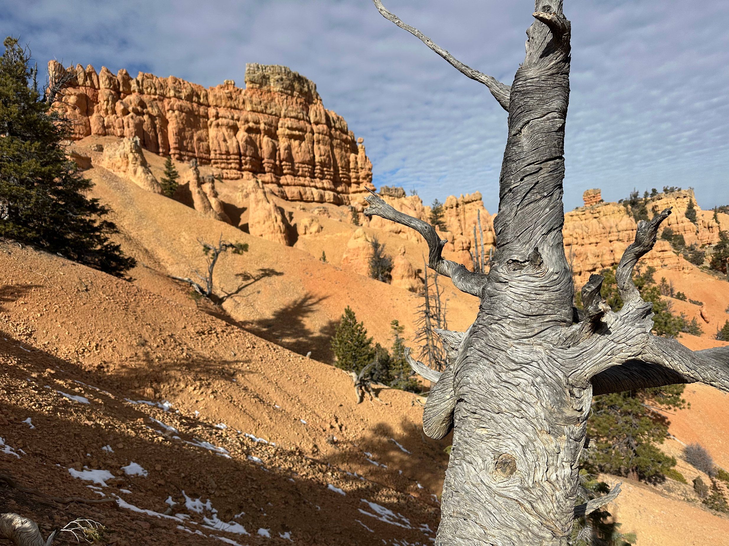 Jan 8-Feb 2 - Kanab, Utah