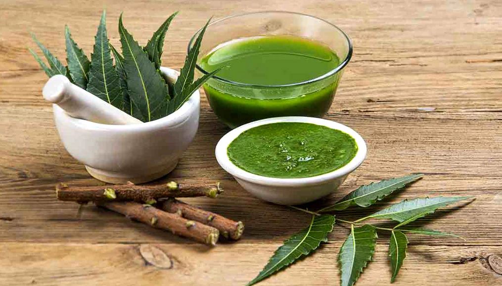 Neem leaves can be eaten! What happens when you play?
