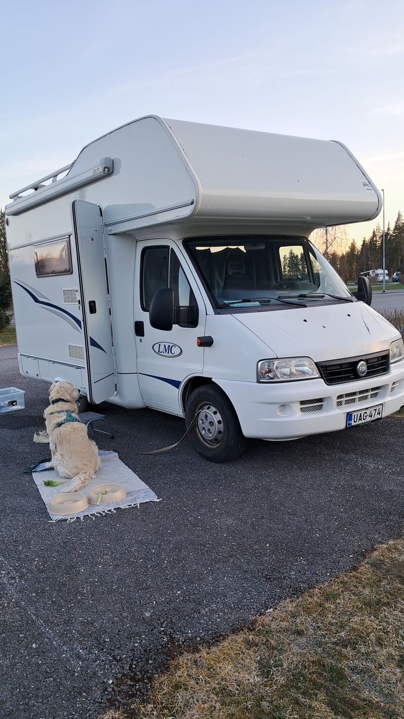 Motorhome travel with dog