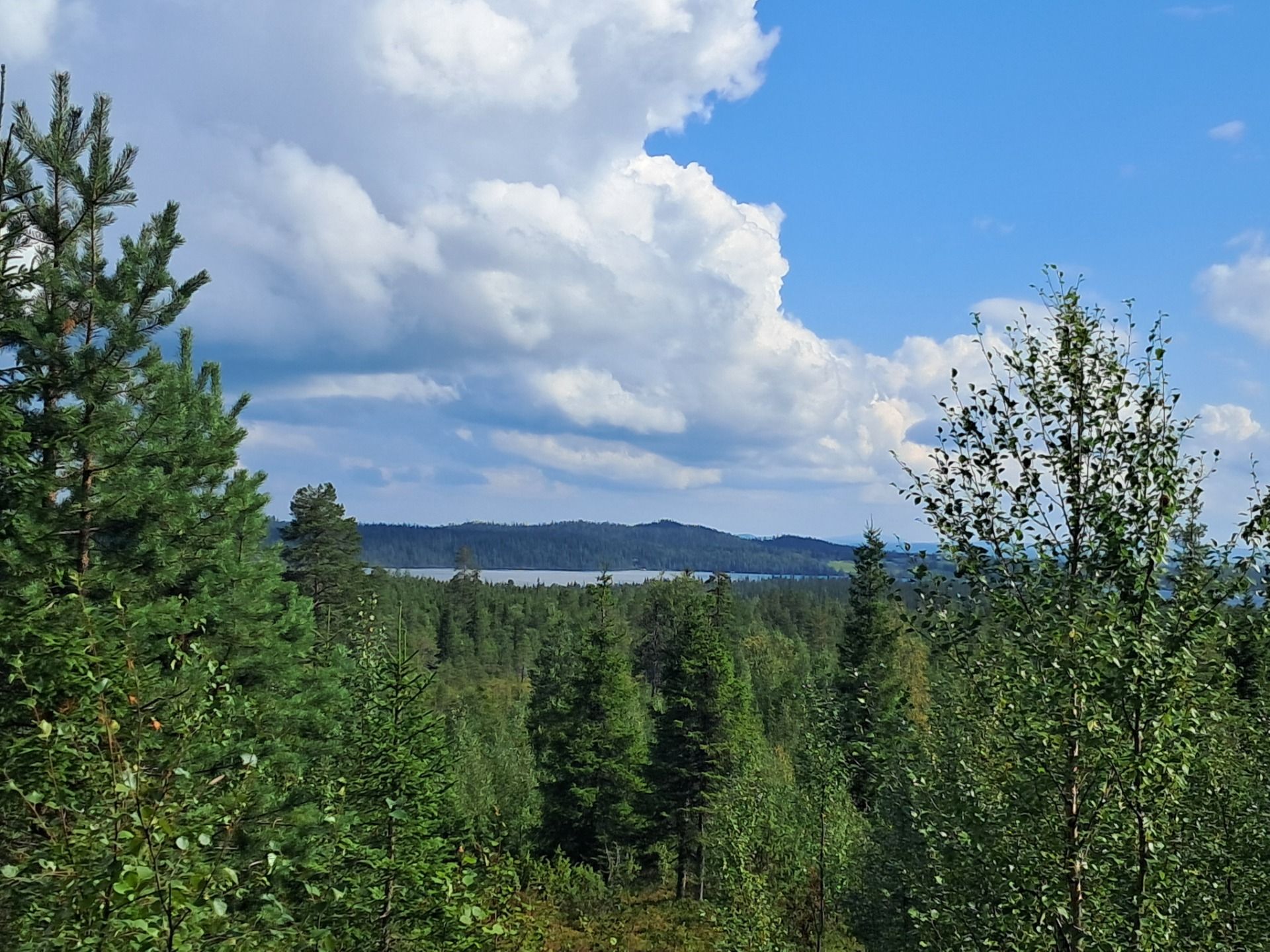 Exploring Northern Finland Hiking Trails: Ruka and Kuusamo Adventures