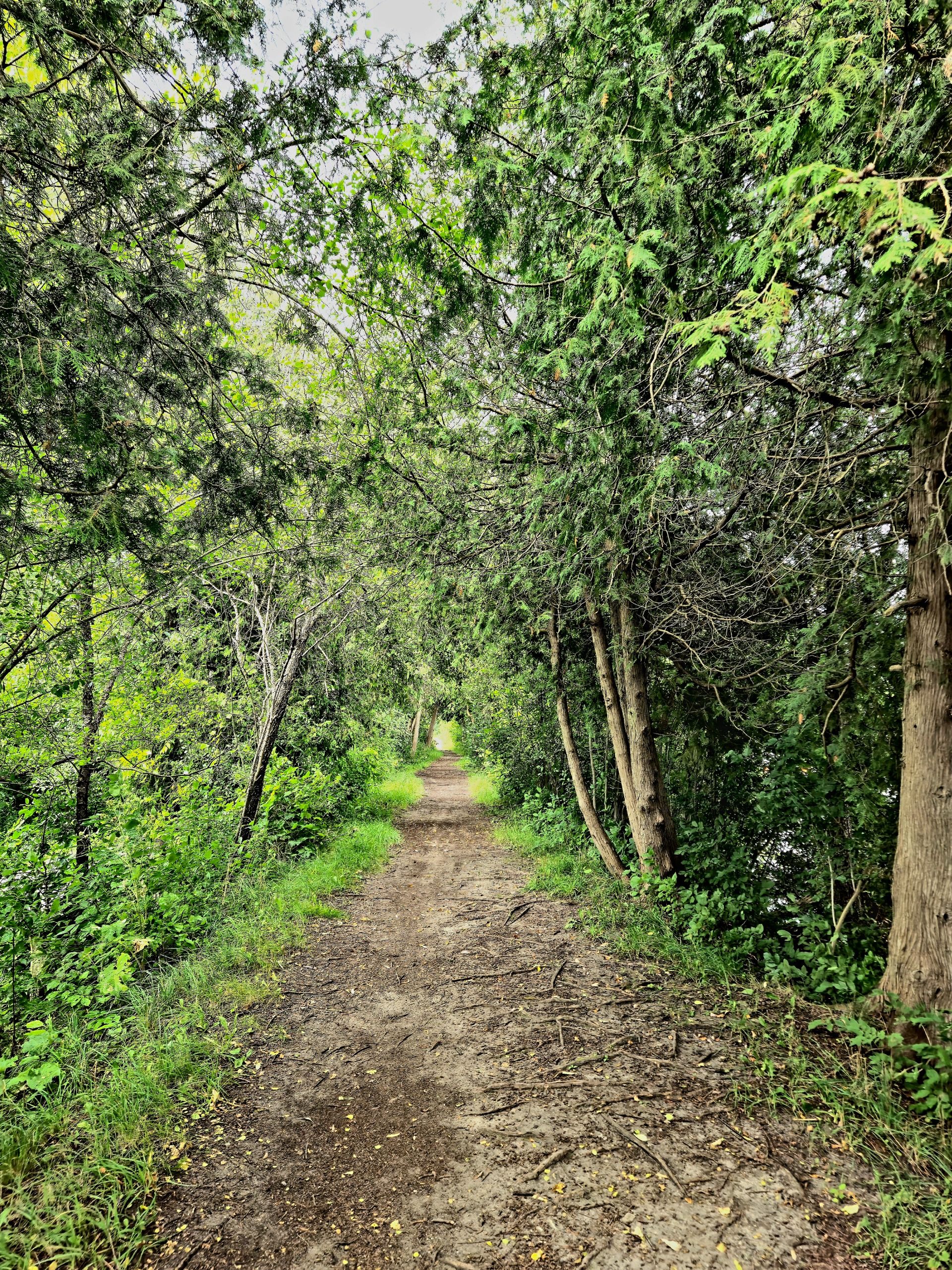 Discovering Cambridge:  Scenic Riding 