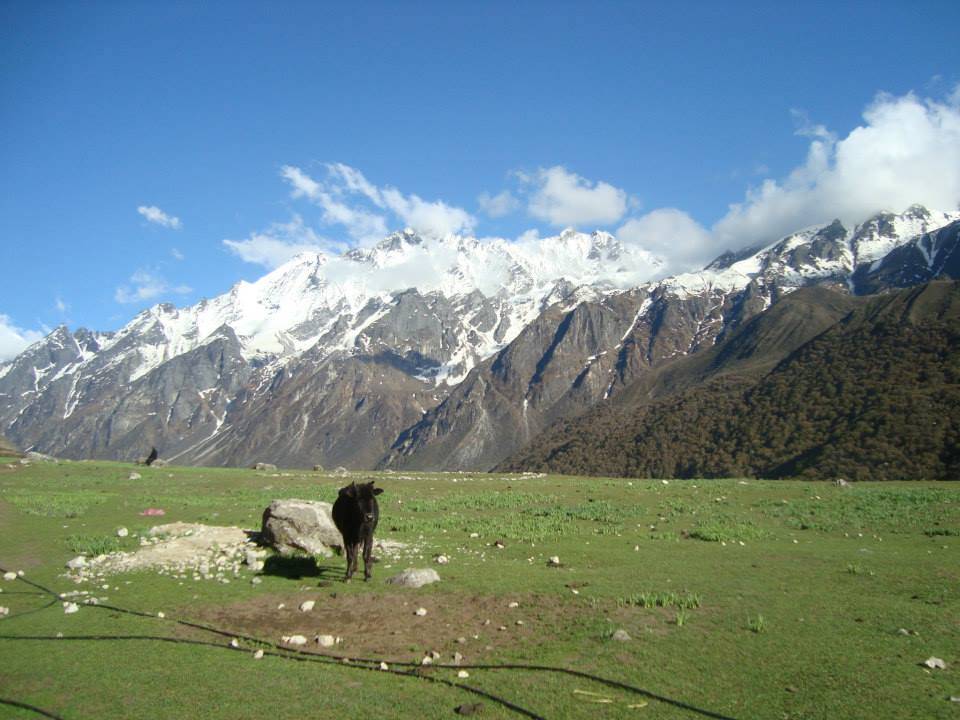 Langtang Valley Trek:  Nepal