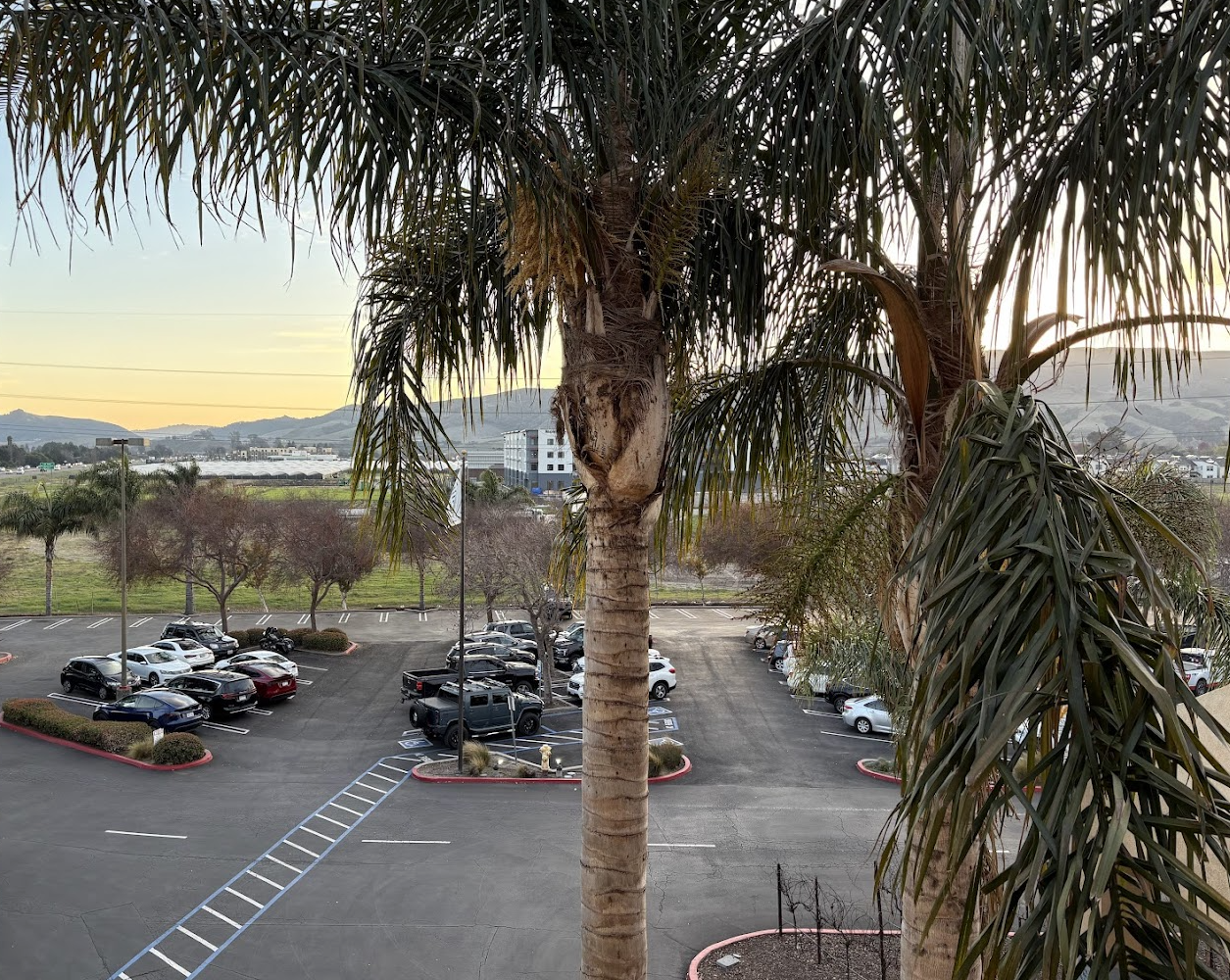 View from our balcony. Sorry for the palm tree blocking the view!