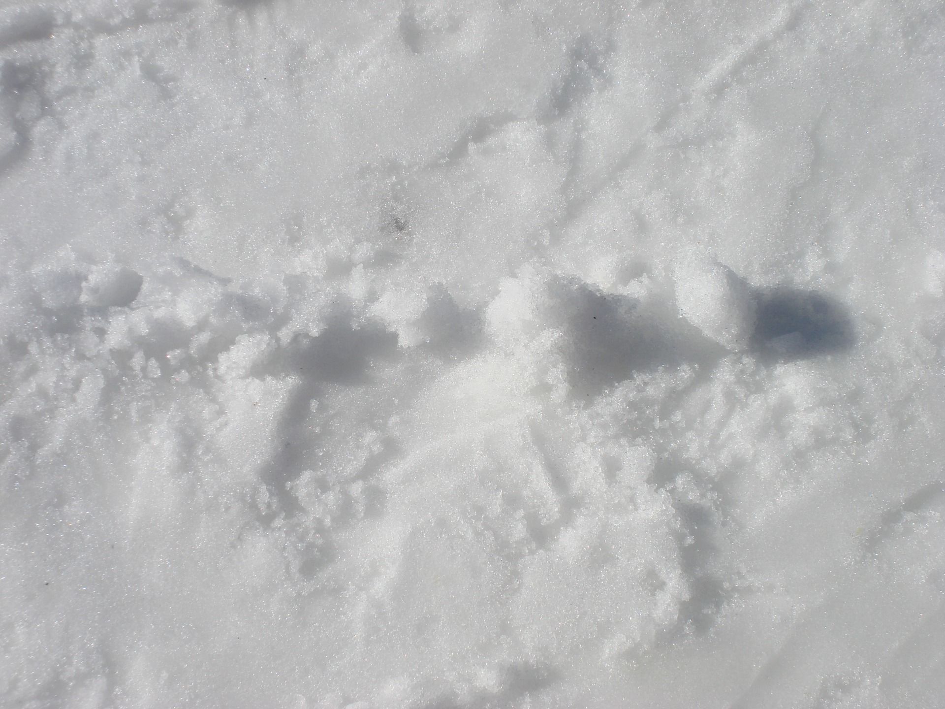 Great Day for snowboarding