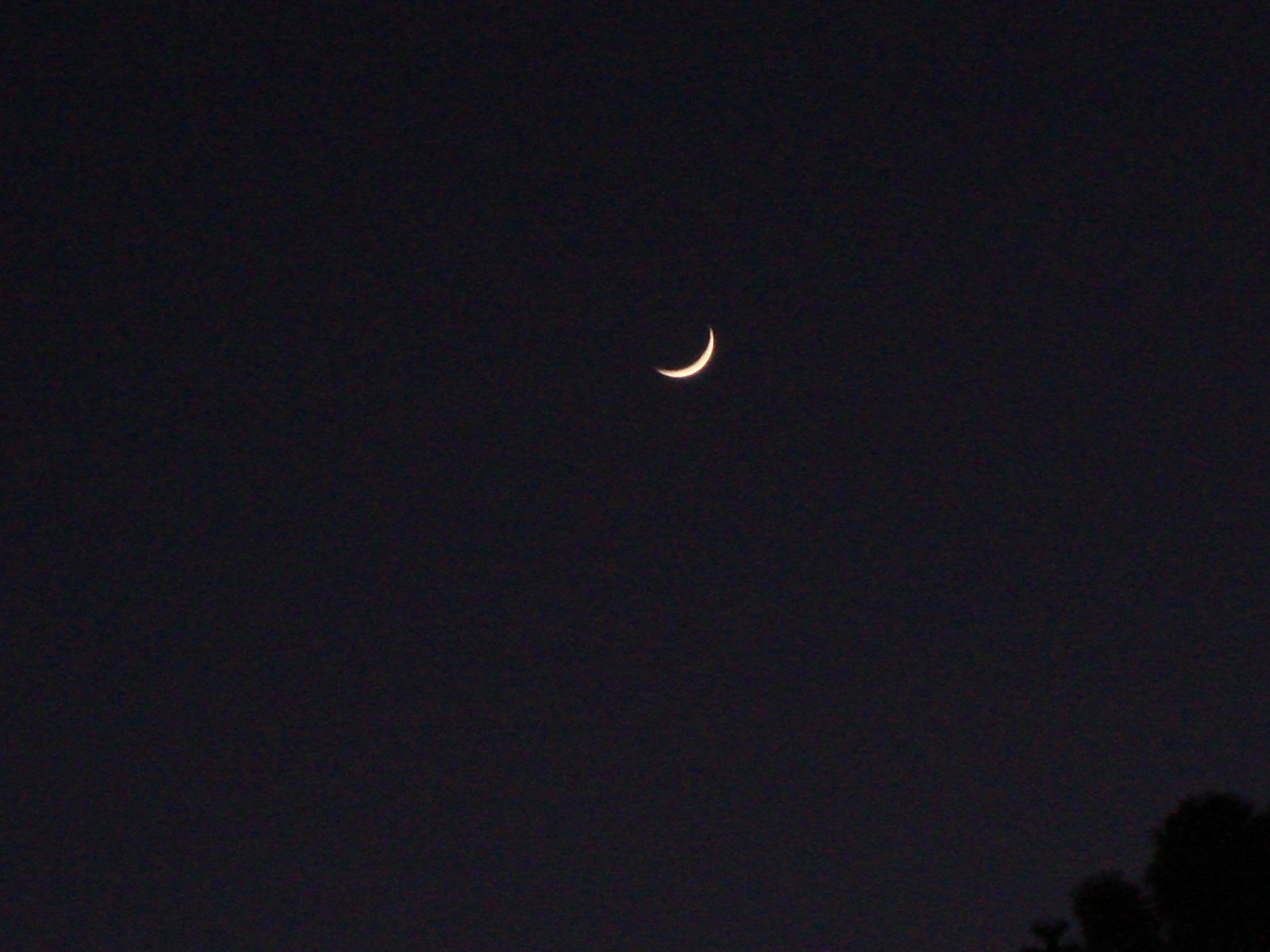 moon night