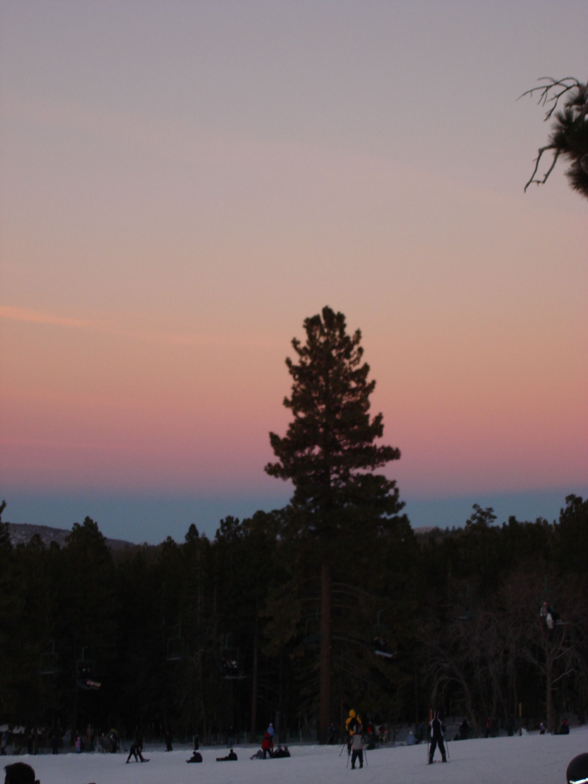 pink sunset