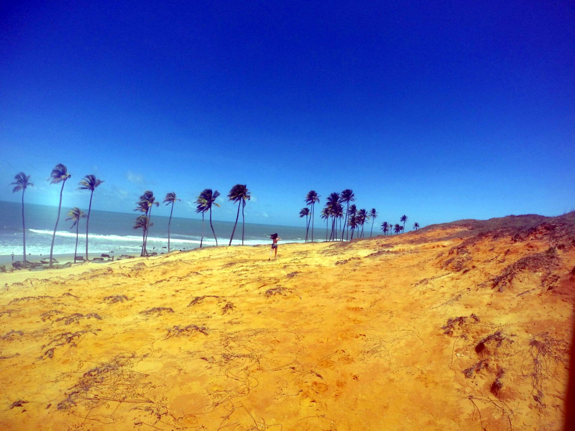 Ceará Coast | Where the desert meets the ocean | Brazil