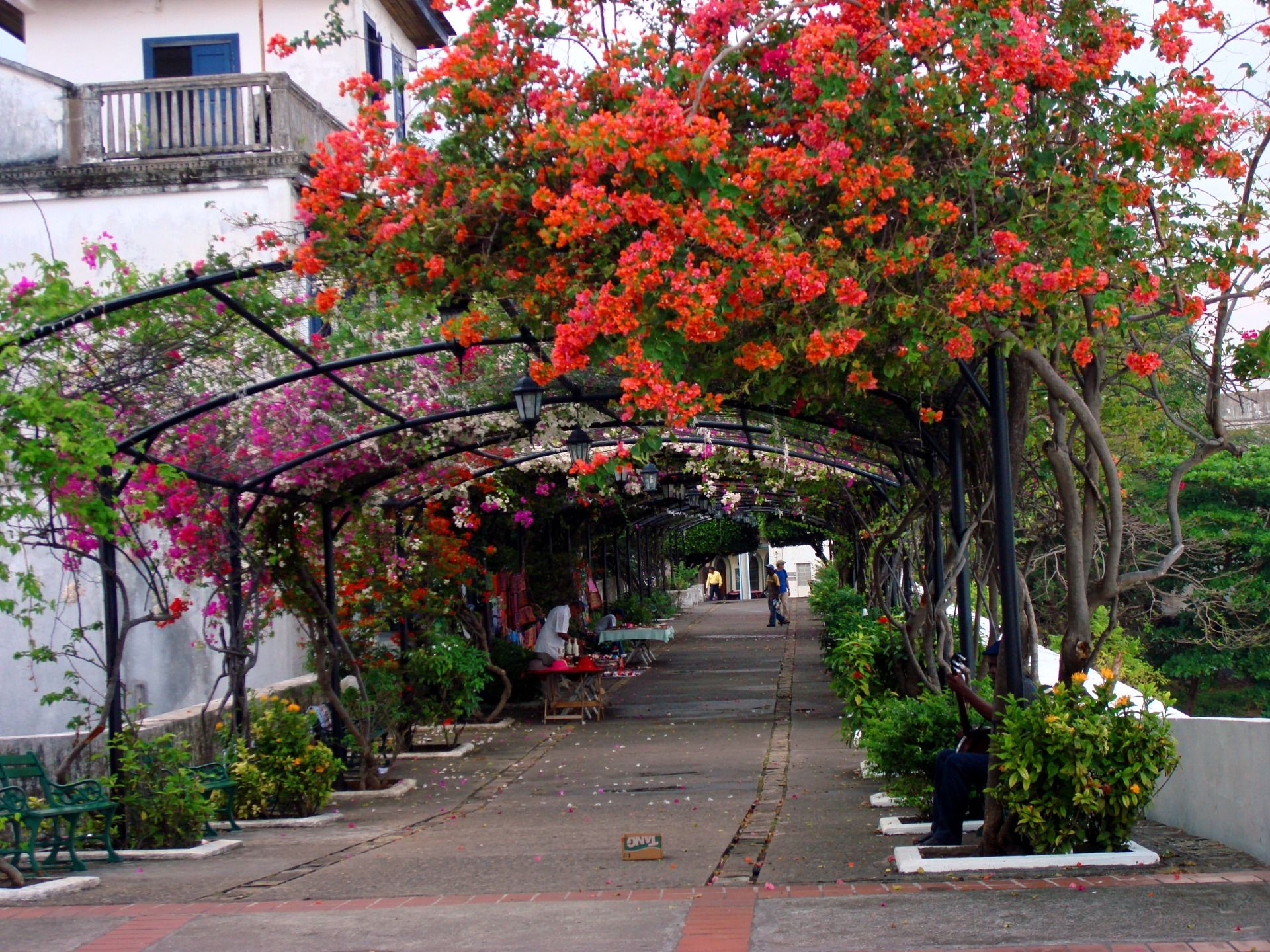 Paseo de la Veraneras