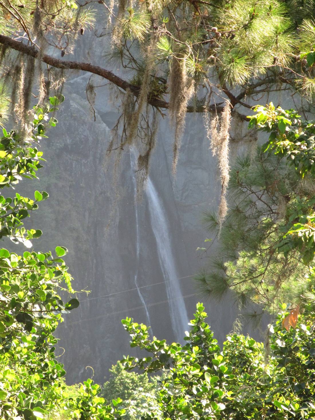 Pomiędzy gałęziami drzew, można ujrzeć w dole wodospad Salto de Jimenoa Uno
