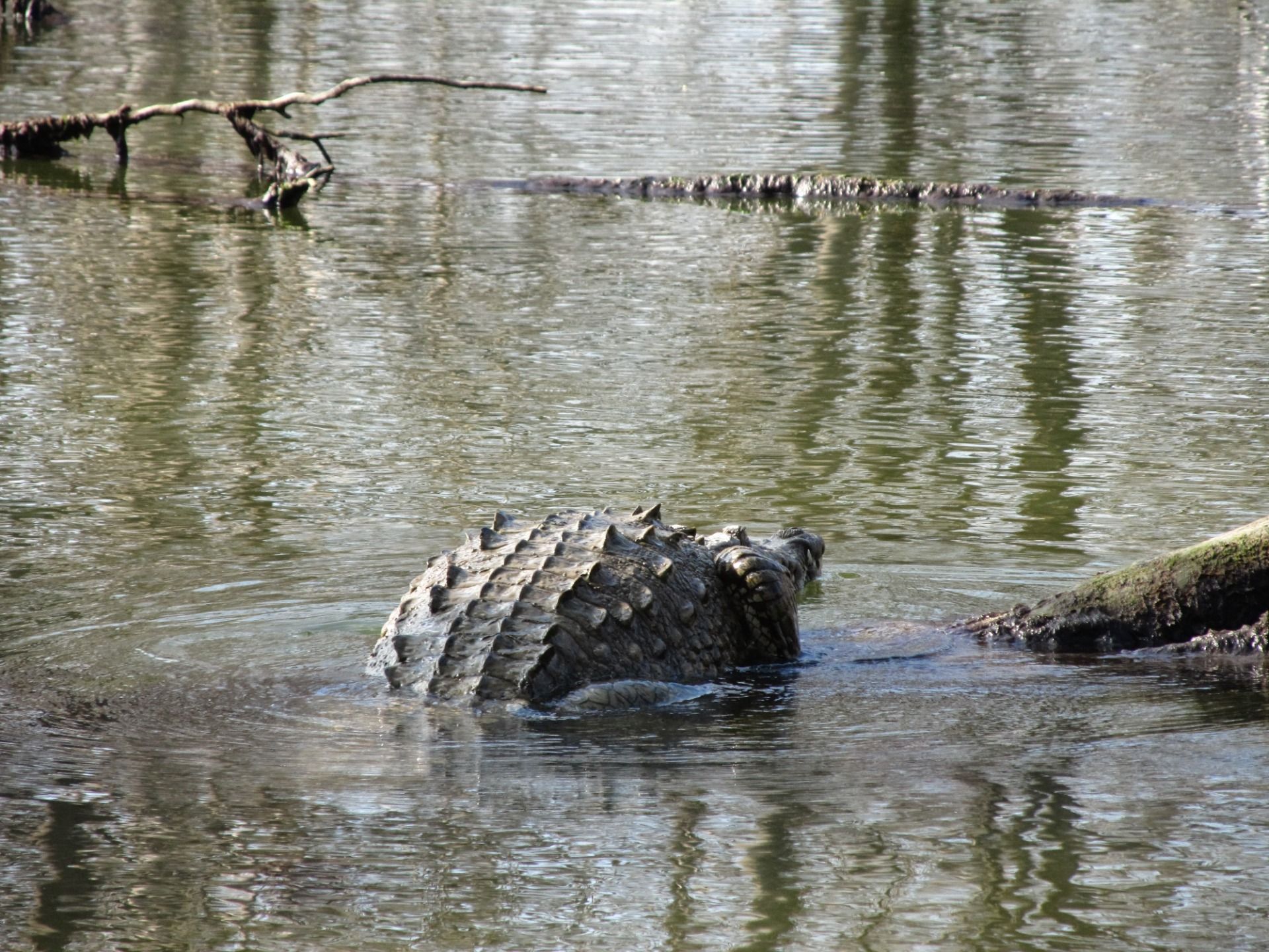 No to tutaj macie go nieco bliżej...
