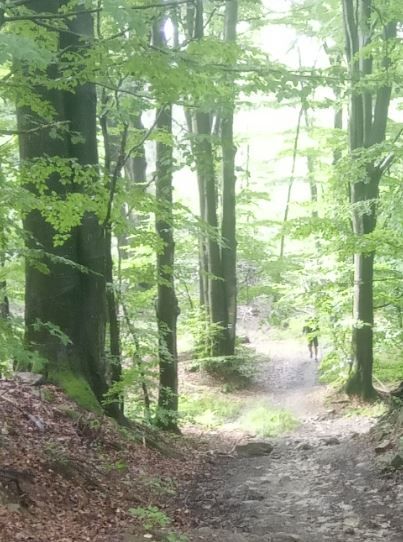 GSB (7) Barciańskie Błota