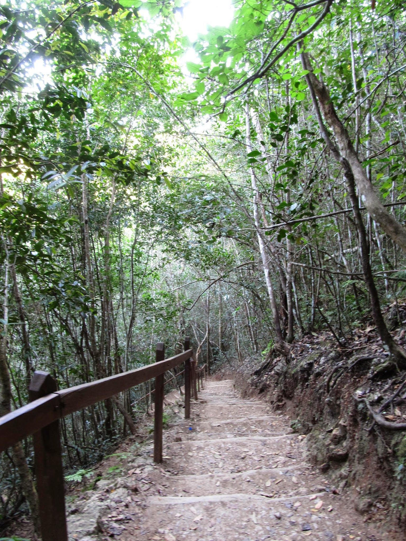 Wodospad El Limon (Dominikana z plecakiem #19)