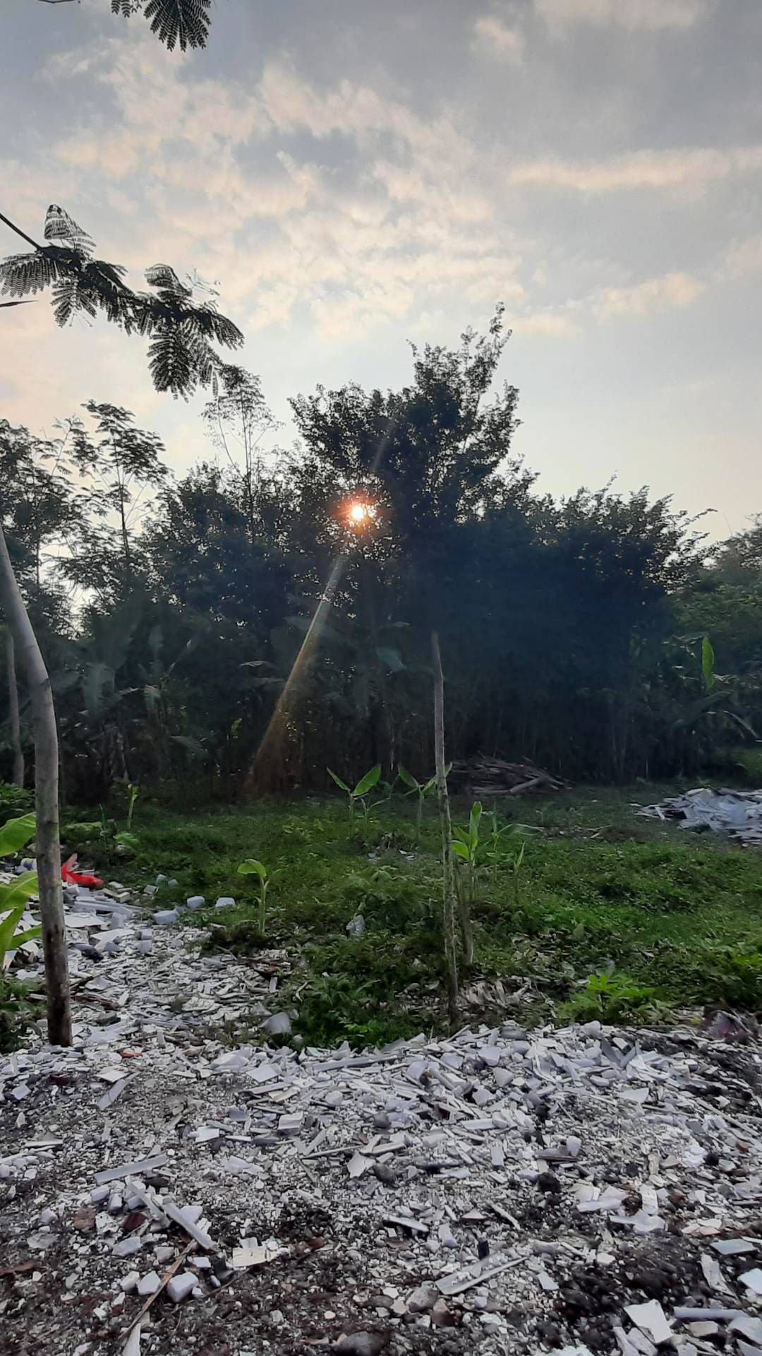 Sun