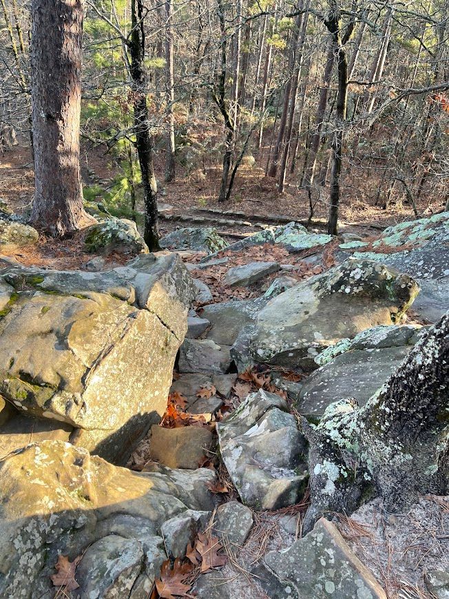 the trail