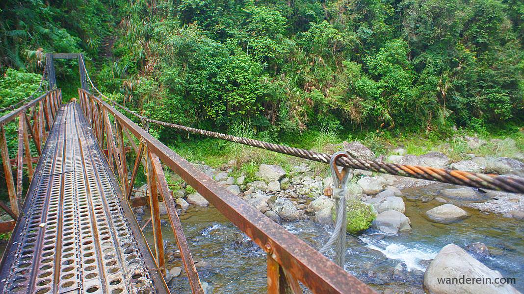 the hanging bridge, the only path that the dogs were careful of