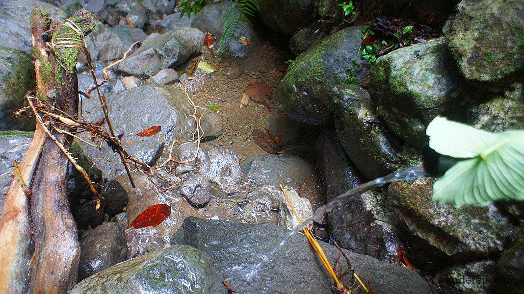 mountain spring water