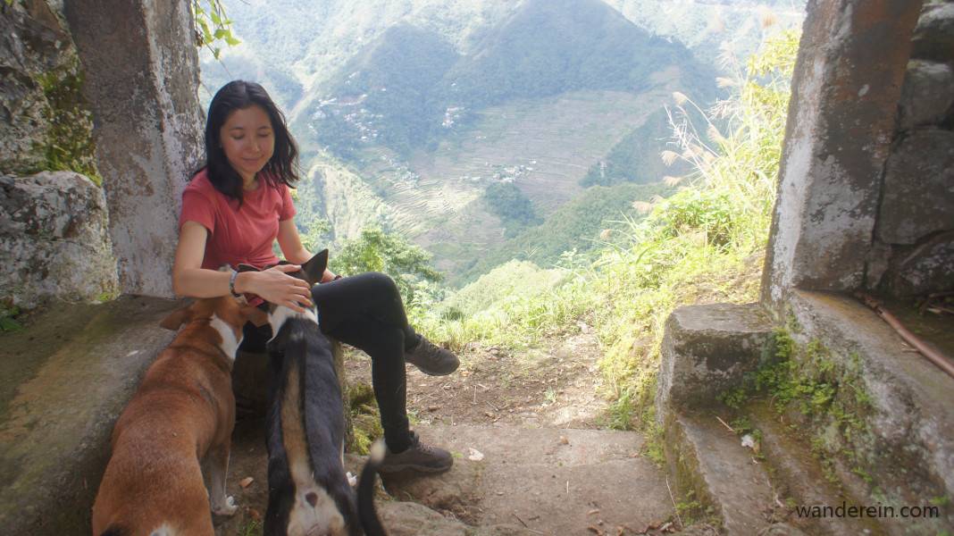 Hanging out with my Batad tour guide dogs
