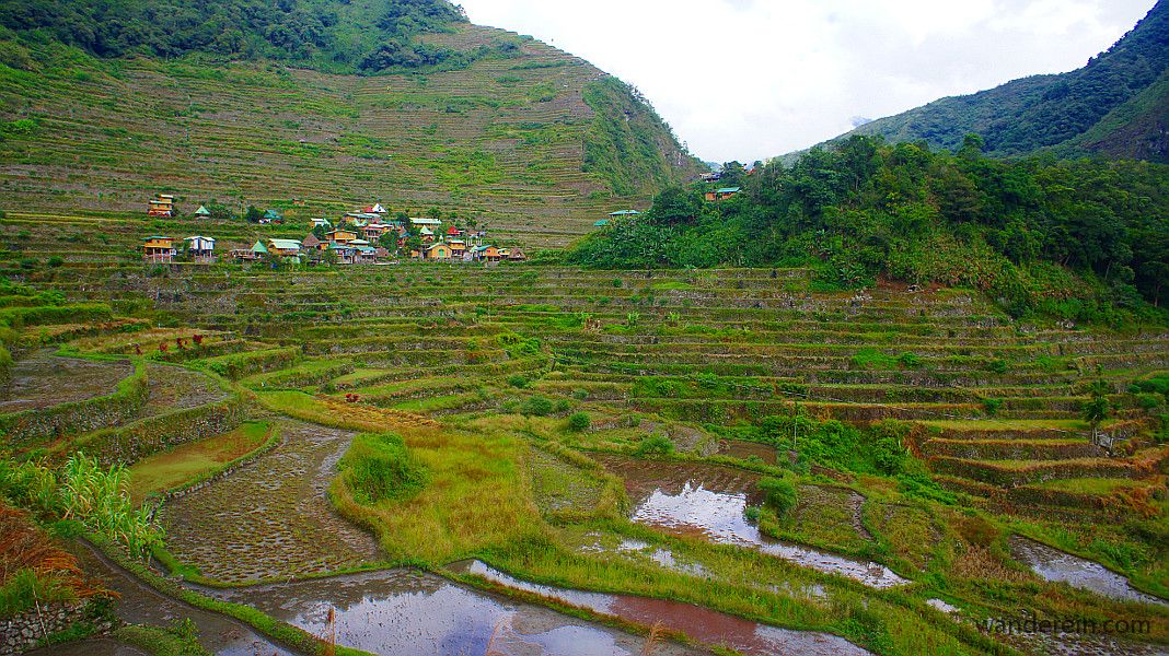 On the way back, a view of the village. They have just finished harvest