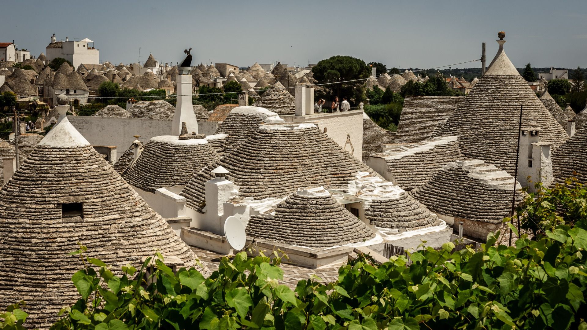 View from one of the shops’ rooftop