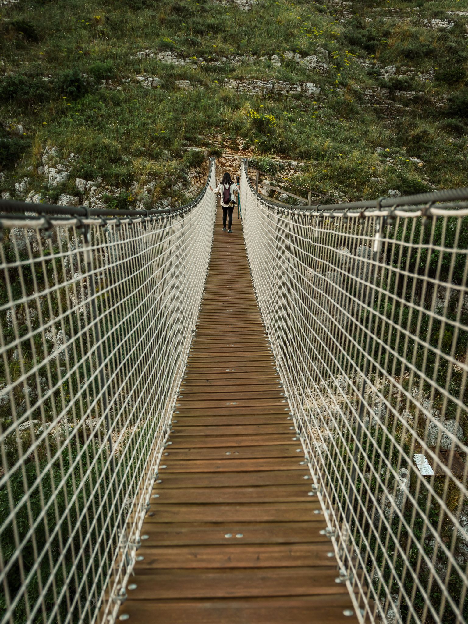 hanging bridge to the other side