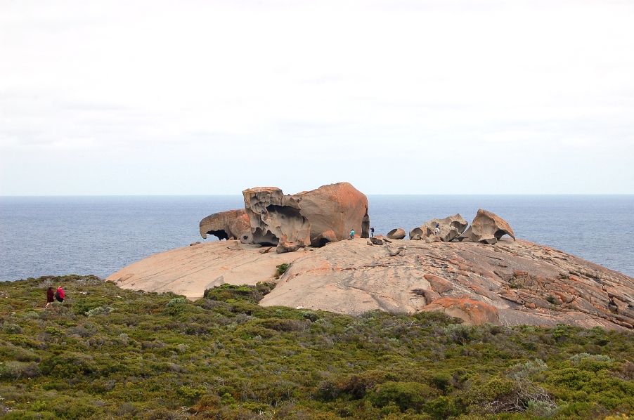 Kangaroo Island - South Australian gem
