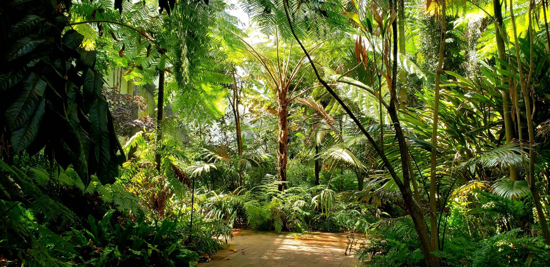 Adelaide Botanic Garden - a place to calm your mind and move your body