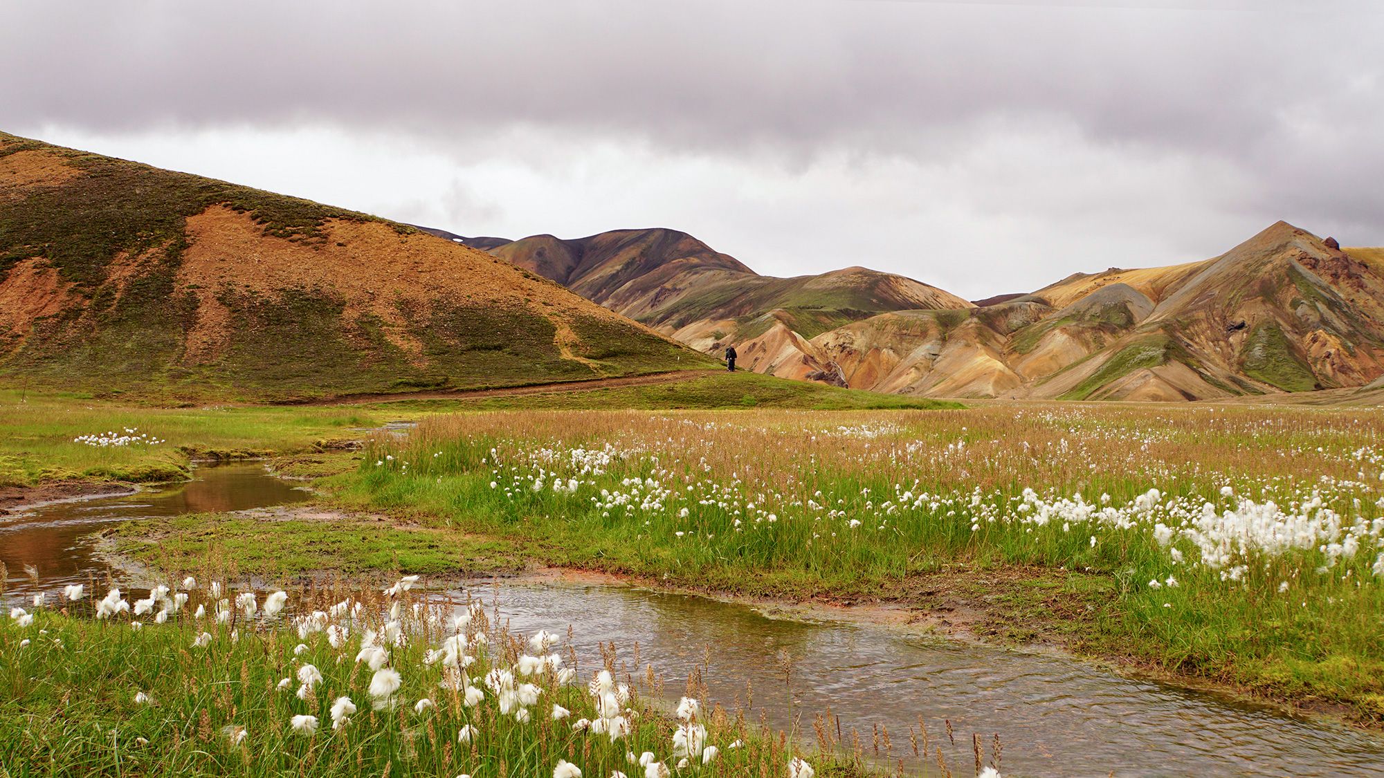 Islandia wte i wewte [2] - Landmannalaugar. Czy góry tęczowe są tęczowe?