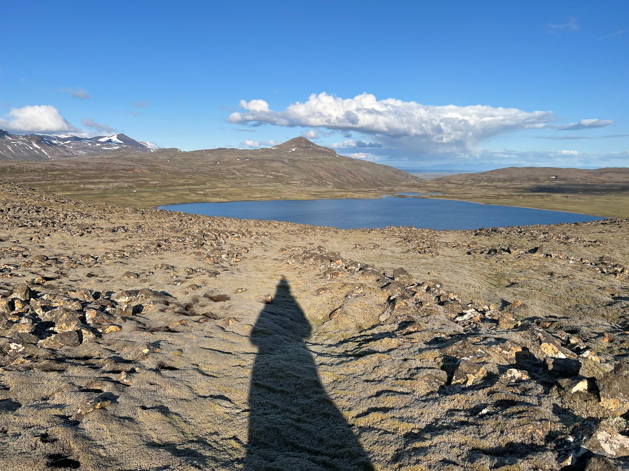 Mchowy materac terapeutyczny.