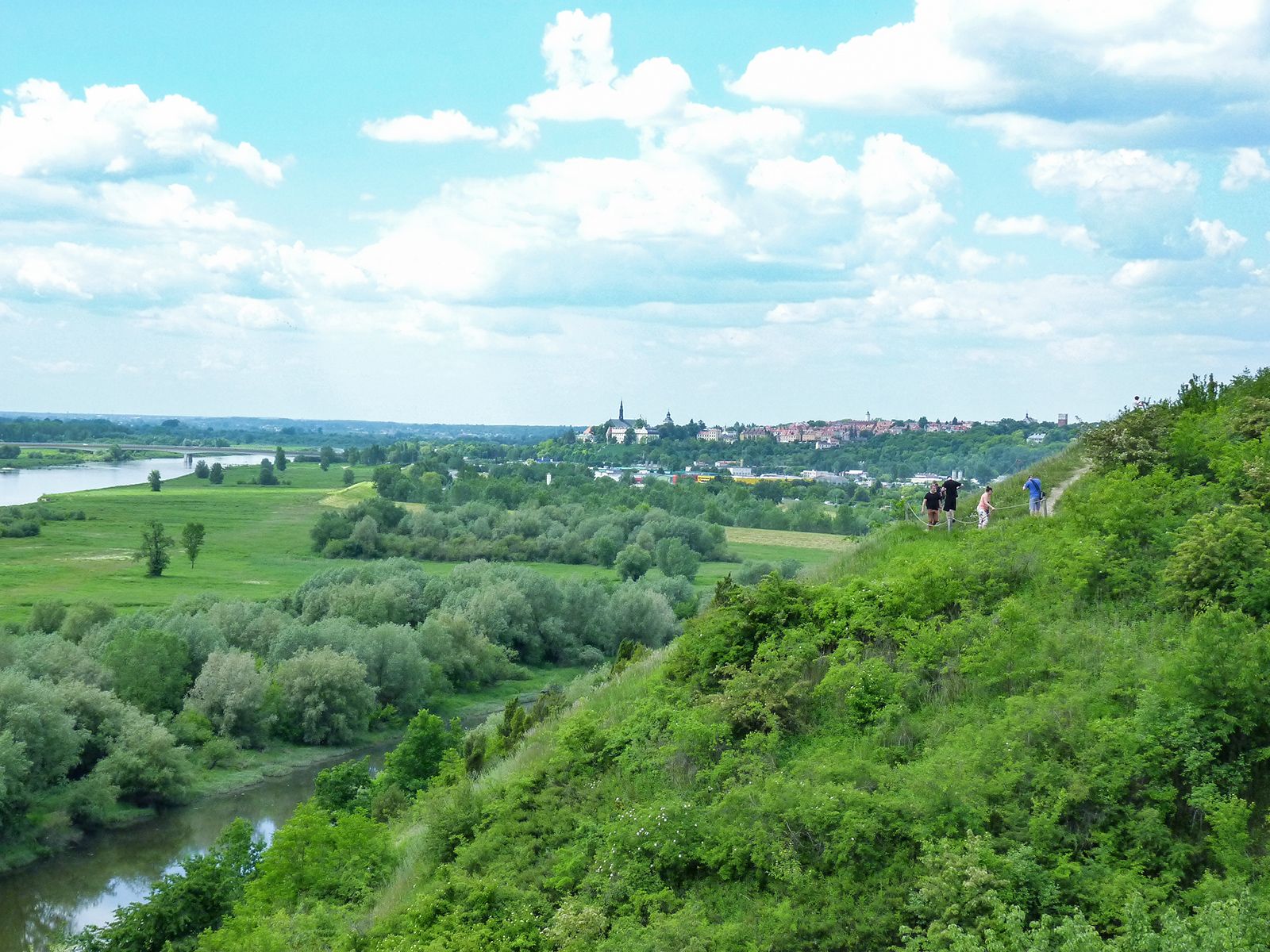 P1140614.jpg