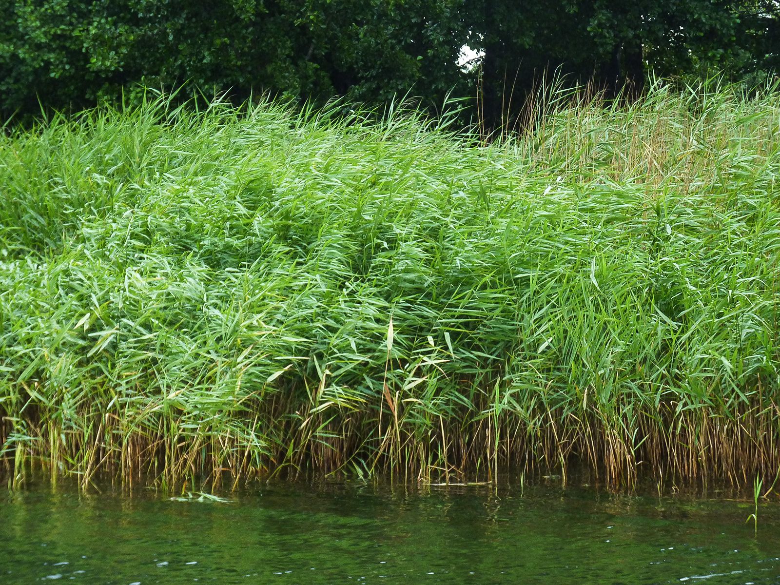  Czy polski biegun zimna istnieje? Pogromcy mitów ruszają na północ.