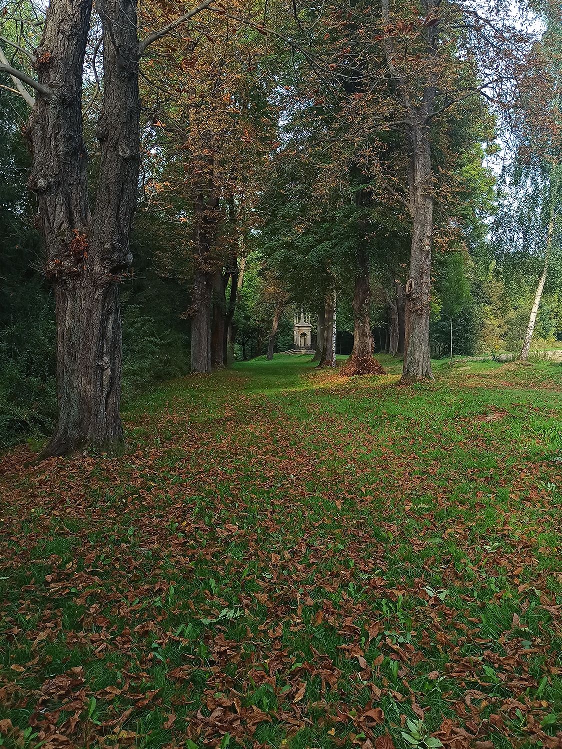1631743007644.jpg